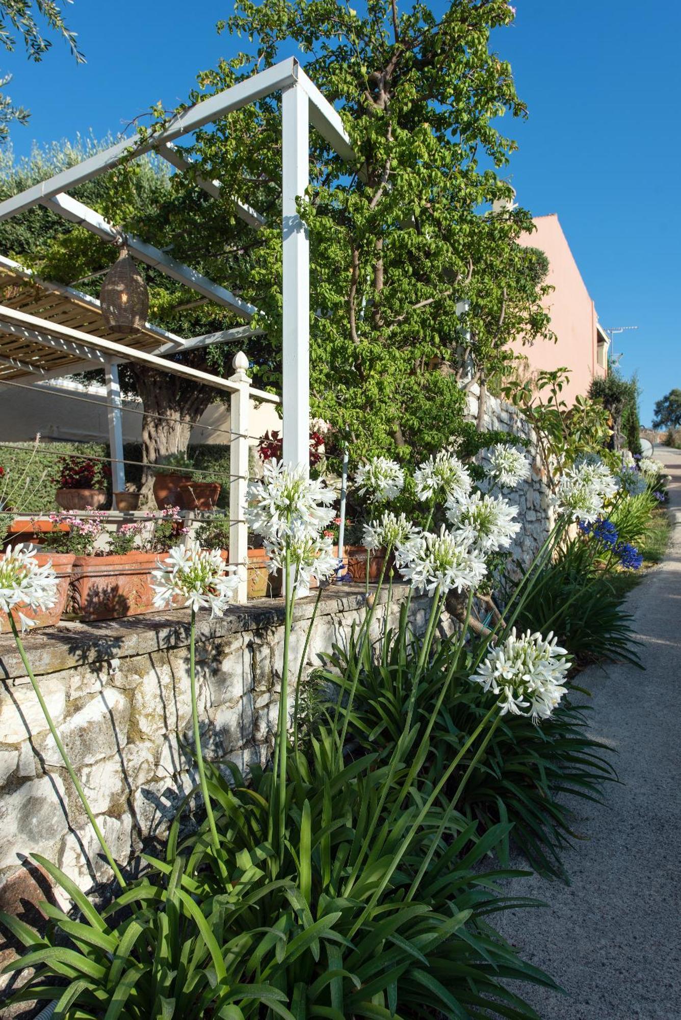 קאסיופי Hill Lofos Hotel מראה חיצוני תמונה